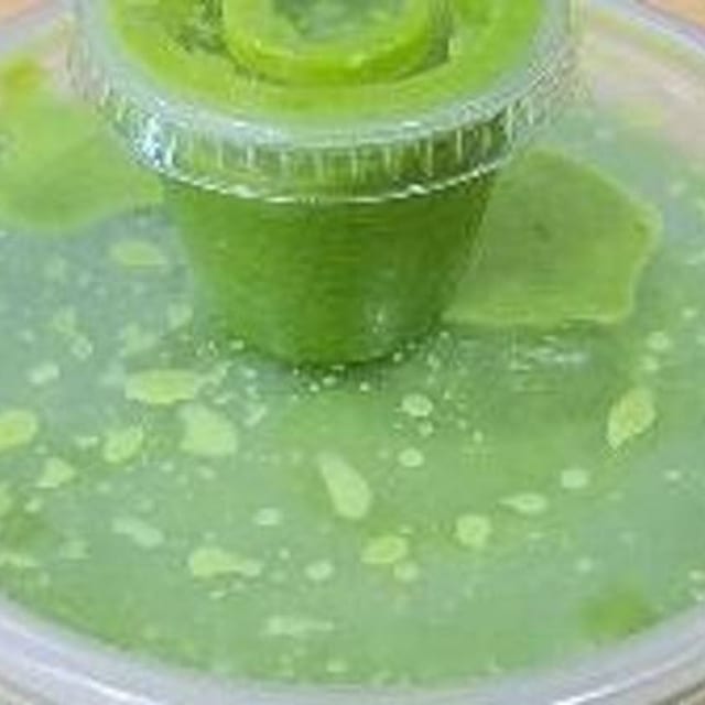 Jalapeno Sauce.